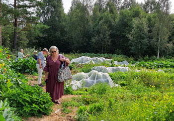 Hörnefors trädgårdssällskap